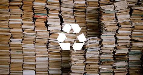 what to do with used books: should we recycle them or preserve them?